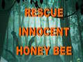 Igra Rescue Innocent Honey Bee 