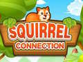 Igra Squirrel Connection