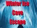 Igra Winter Ice Cave Escape