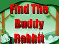 Igra Find The Buddy Rabbit