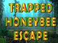 Igra Trapped Honeybee Escape