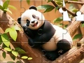 Igra Jigsaw Puzzle: Panda On Tree