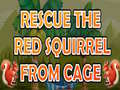 Igra Rescue The Red Squirrel From Cage