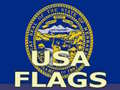 Igra Usa Flags 