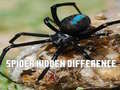 Igra Spider Hidden Difference