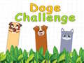 Igra Doge Challenge