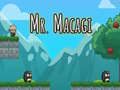 Igra Mr Macagi