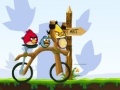Igra Angry Birds Bike Revenge