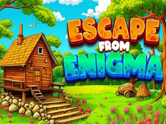 Igra Escape From Enigma