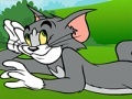 Igra Tom and Jerry ATV Adventure