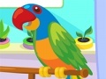 Igra Parrot Care