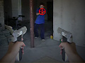 Igra First Person Shooter In Real Life 3
