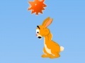 Igra Hopi: The Jumping Rabbit
