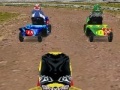 Igra Lawnmower Racing 3D