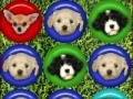 Igra Cute puppy match