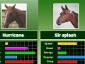 Igra Horse bet racing