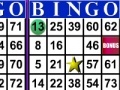 Igra Bingo 