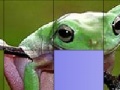 Igra Frog Slide Puzzle