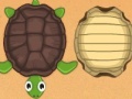 Igra Guess the turtle