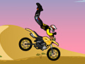 Igra Acrobatic Rider