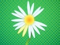 Igra Daisy petals