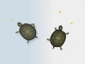 Igra Turtles