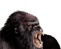 King Kong 3