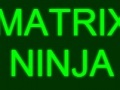 Igra Matrix Ninja