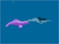 Igra Seawitch