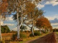 Igra Russian Road