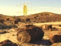 Igra Treasure Hunt-Desert Forest