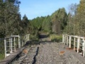 Igra Diamond Bridge Escape