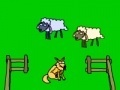 Igra Sheep!
