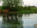 Igra Fishing: Hunting for Trophy