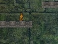Igra Bunny Adventure