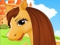 Igra Belle's Caring Horse