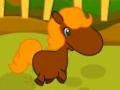 Igra Pony Races