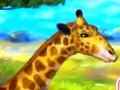 Igra Giraffe Zoo