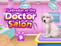 Igra Labrador at the doctor salon    