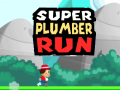 Igra Super Plumber Run