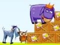 Igra Donkey Sean