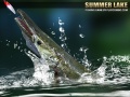 Igra Summer Lake 1.5