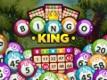 Igra Bingo King