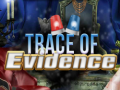 Igra Trace of Evidence