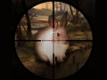 Igra Classical Rabbit Sniper Hunting 2019