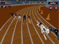 Igra Crazyl Dog Racing Fever