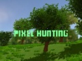Igra Pixel Hunting