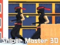 Igra Sniper Master 3D