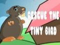 Igra Rescue The Tiny Bird
