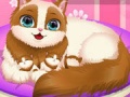 Igra Cute Kitty Pregnant